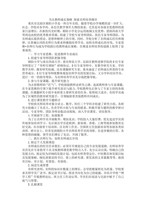 关注教师成长策略 探索名师培养路径