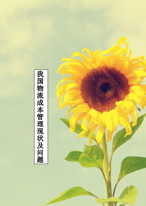 我国物流成本管理现状及问题分析