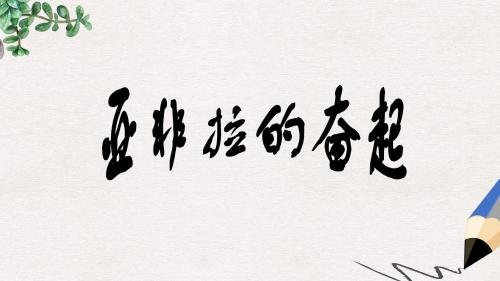九年级历史下册第六单元亚非拉国家的独立和振兴12亚非拉的奋起课件3新人教版