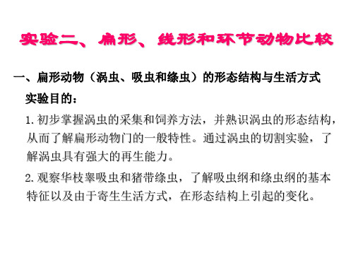 实验扁形线形和环节动物比较