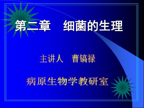 细菌的生理PPT课件