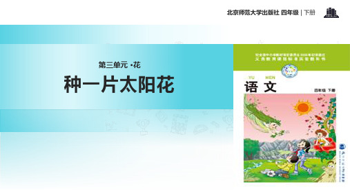 2021小学语文北师大版四年级下册《种一片太阳花》教学课件