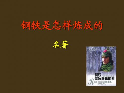 苏教版八年级名著导读《钢铁是怎样炼成的》