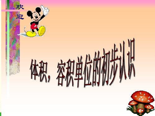 六年级上数学- 体积和容积单位_苏教版-课件PPT(13张)