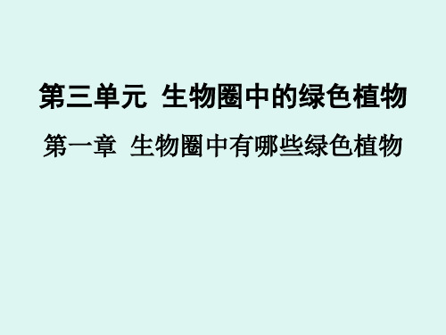 生物圈中有哪些绿色植物 29张PPT
