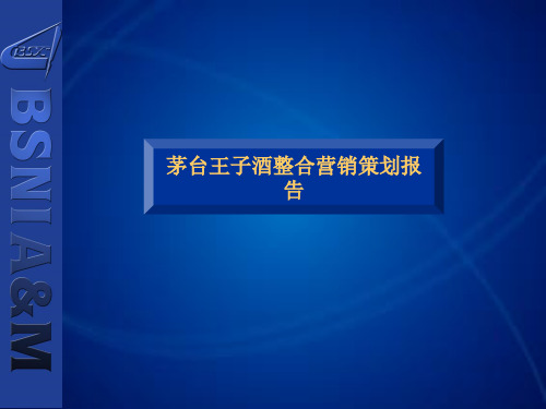 茅台王子酒营销策划报告