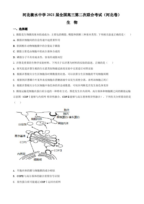 2021届河北衡水中学全国高三第二次联合考试河北生物试题(原卷版)