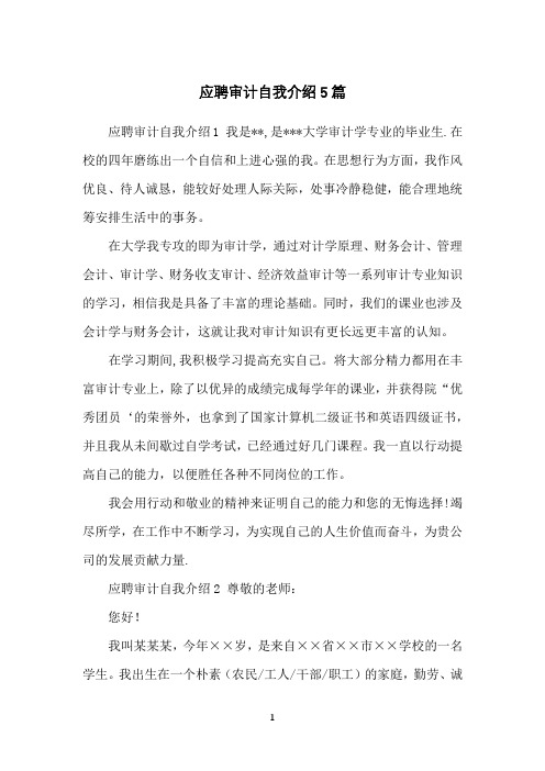 应聘审计自我介绍5篇