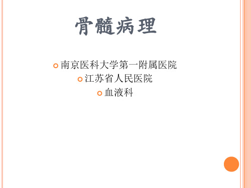 骨髓的病理诊断