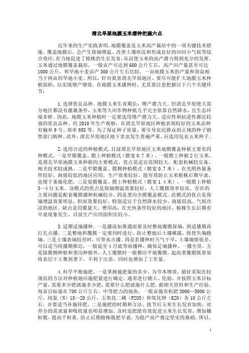 渭北旱原地膜玉米播种把握六点