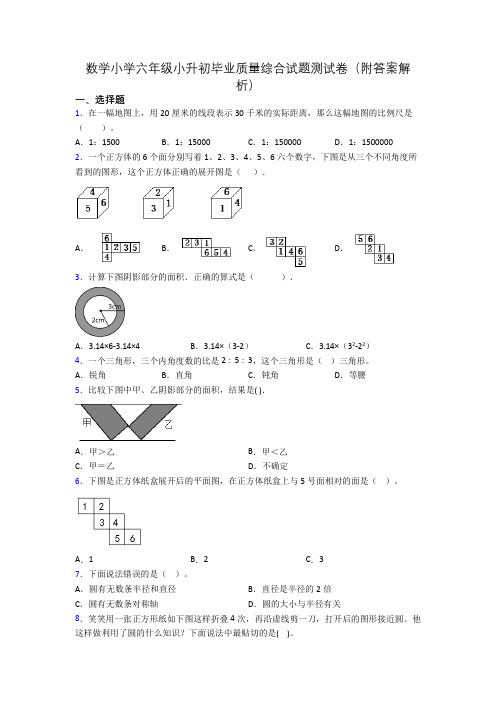 数学小学六年级小升初毕业质量综合试题测试卷(附答案解析)