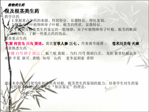 根及根茎类生药 PPT课件