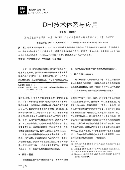 DHI技术体系与应用