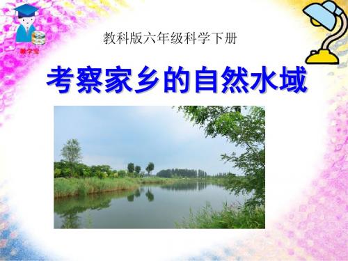 《考察家乡的自然水域》环境和我们PPT课件(上课用)