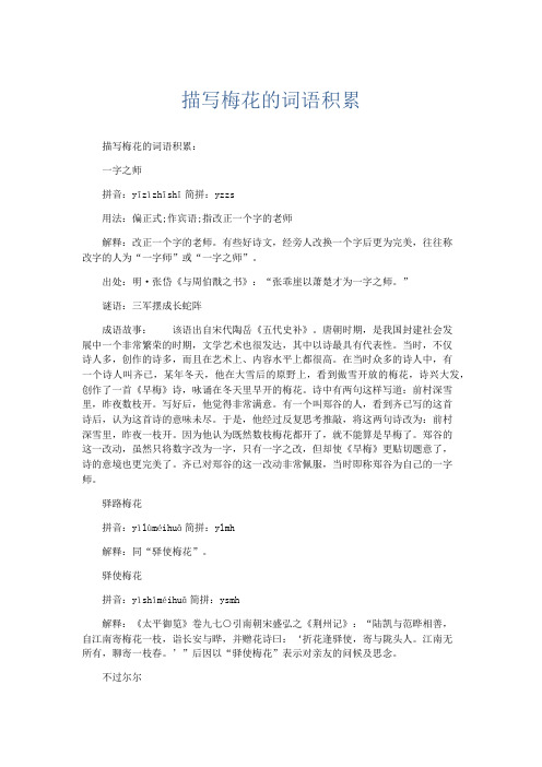 作文素材 描写梅花的词语积累-精品
