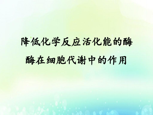 人教版高中生物必修1 降低化学反应活化能的酶 (2) 市级公开课PPT课件