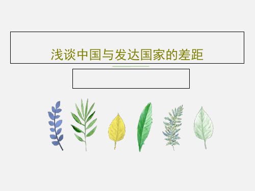 浅谈中国与发达国家的差距30页PPT