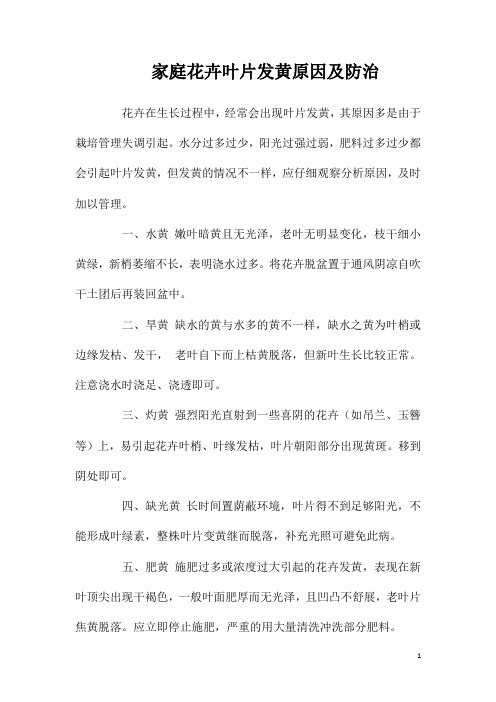 家庭花卉叶片发黄原因及防治