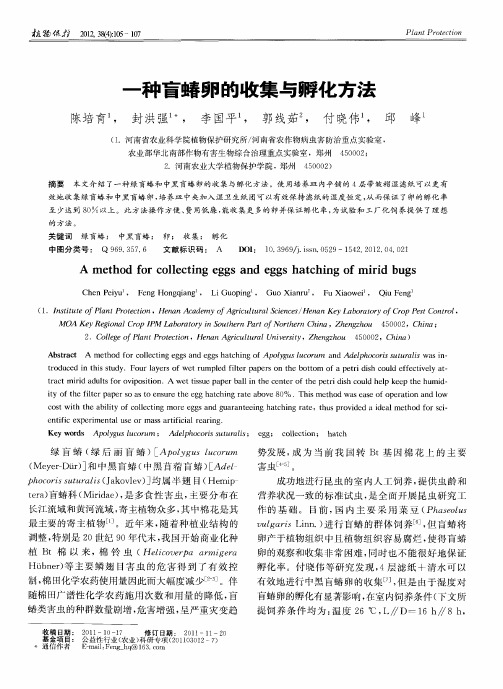一种盲蝽卵的收集与孵化方法