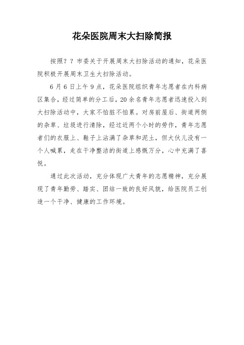周末大扫除简报(通用)
