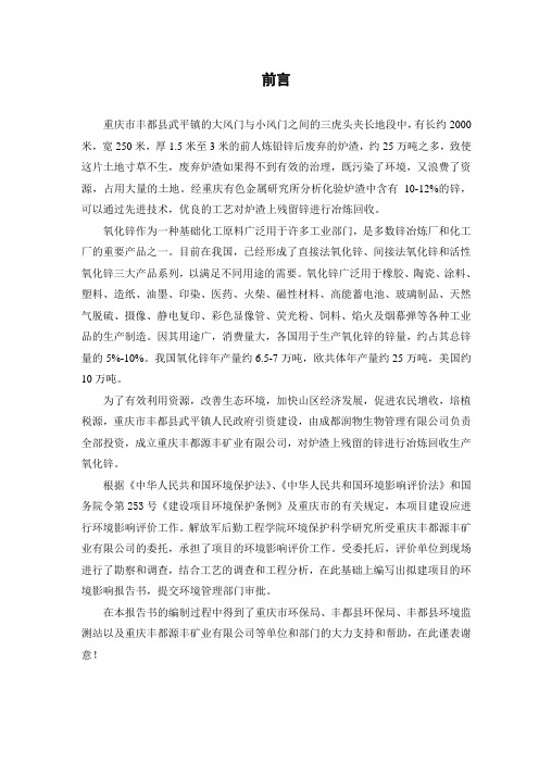 环评爱好者论坛_氧化锌报告书