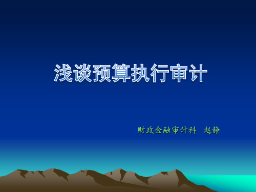 预算执行审计讲稿