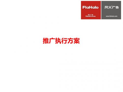 某公司推广执行方案(PPT 42张)