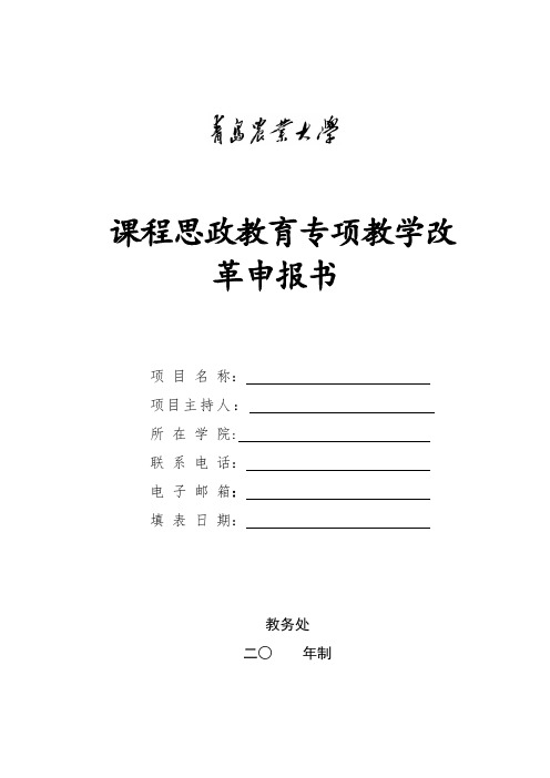 课程思政教育专项教学改革申报书