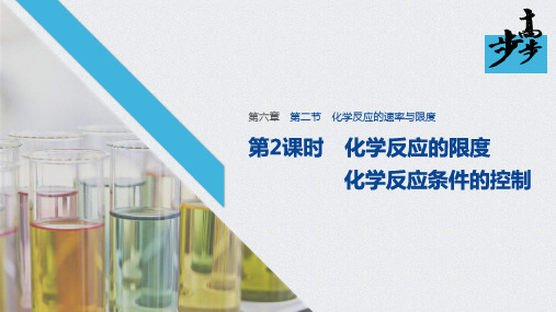 2020年高中化学新教材同步必修第二册 第6章 第二节 第2课时化学反应的限度化学反应条件的控制