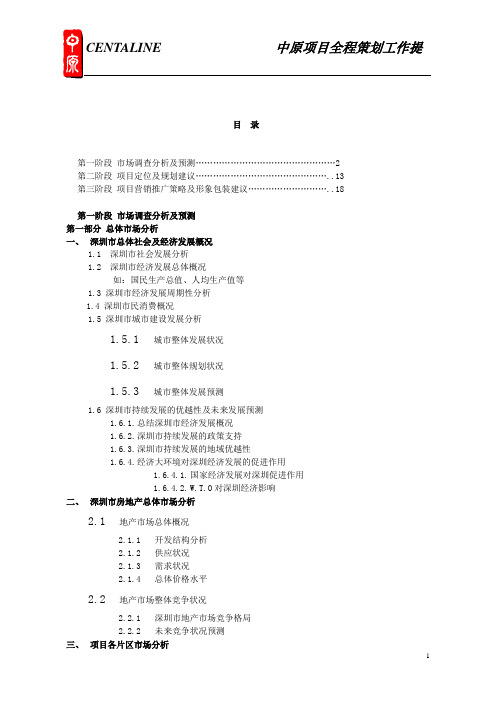 中原项目全程策划提纲