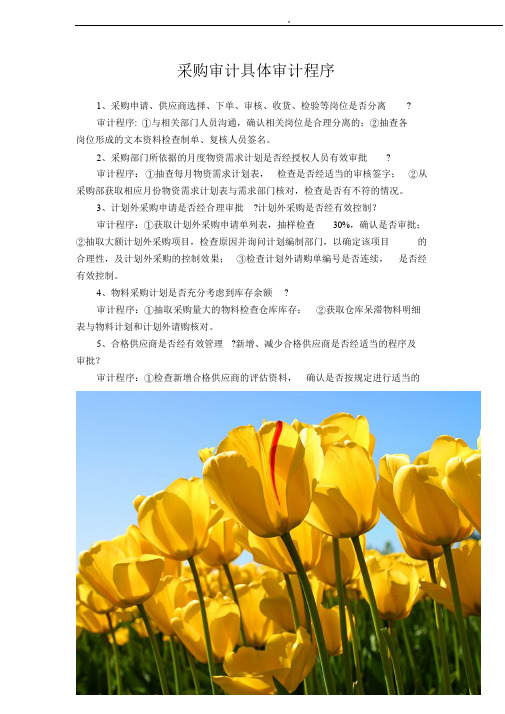 采购审计具体审计程序.doc