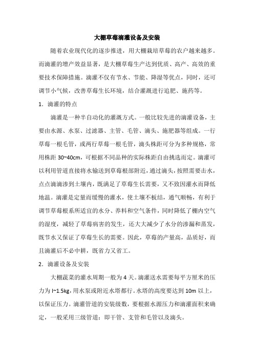 大棚草莓滴灌设备及安装
