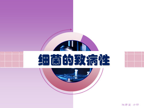 第1节细菌的致病性