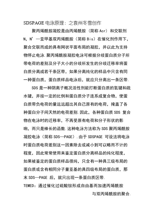SDS-PAGE分离胶配方表-及其原理
