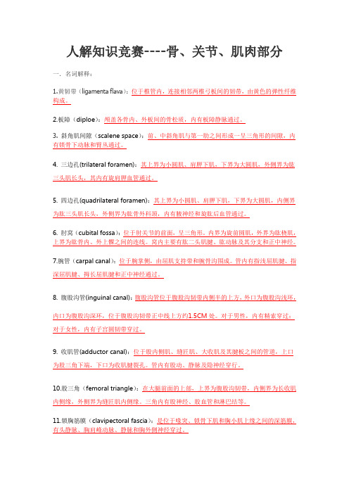 人体解剖学--骨关节肌肉试题整理