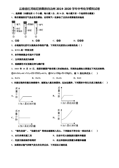 【附20套中考模拟试卷】云南省红河哈尼族彝族自治州2019-2020学年中考化学模拟试卷含解析