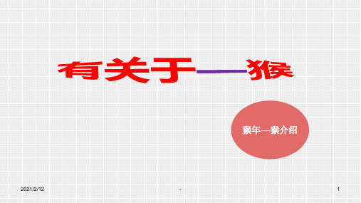 有关于—猴PPT课件