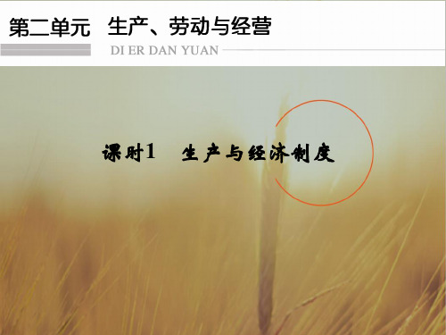 最新-高三政治课件2021届江苏高考政治第一轮复习课件30  精品