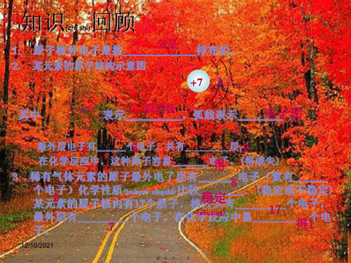 九年级化学上册 第四单元 课题3《离子》离子的形成课件