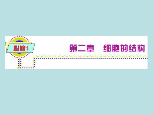 细胞膜和细胞壁ppt10 浙科版最新优选公开课件