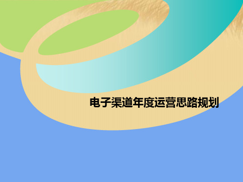 电子渠道项目年度运营思路