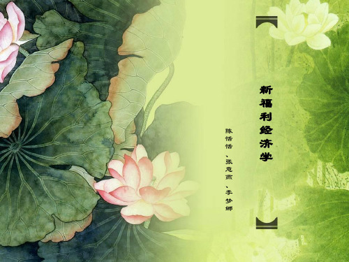 新福利经济学