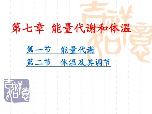 生理第7章能量代谢