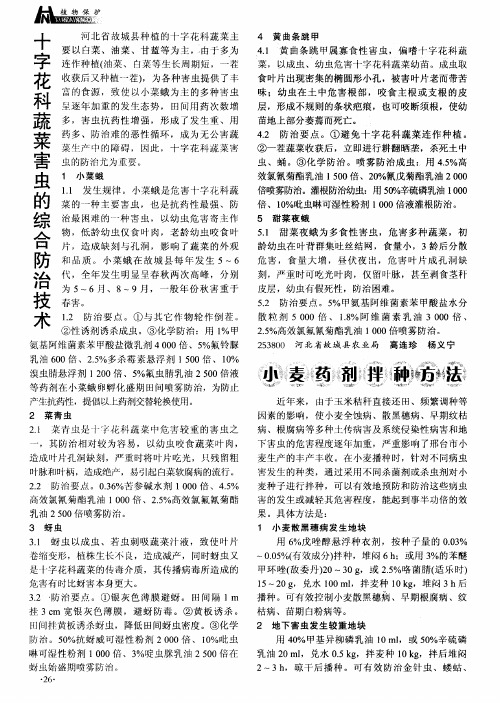 十字花科蔬菜害虫的综合防治技术