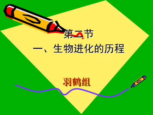 第二节生物进化的历程PPT