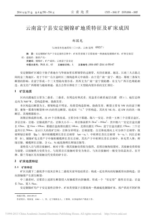 云南富宁县安定铜镍矿地质特征及矿床成因_郑国龙