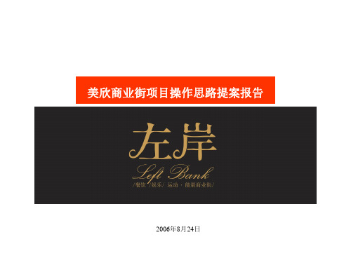 某商业街项目操作思路提案报告.ppt