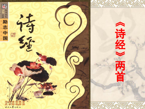 《静女》实用ppt