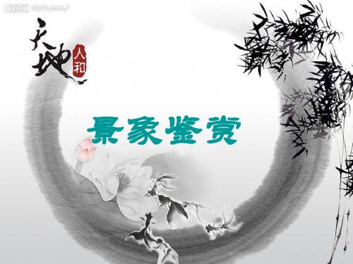 2013届高考复习(诗歌鉴赏)——景象形象