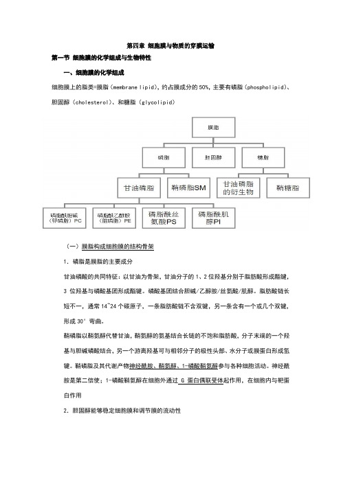 细胞生物学之笔记--第4章 细胞膜与物质的穿膜运输